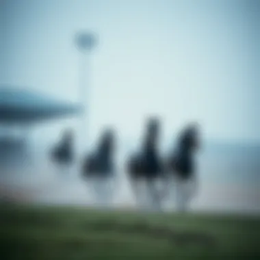 Magnificent 로또1082 분석 및 베팅 전략 Magnificent 로또1082 분석 및 베팅 전략