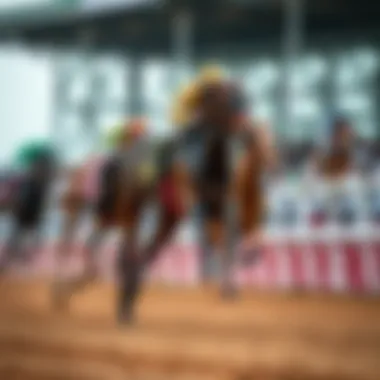 A racehorse galloping on a track