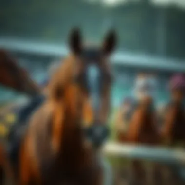 Understanding the Significance of Horse Racing URLs Understanding the importance of horse racing URLs