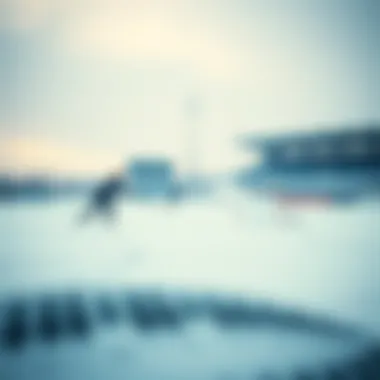 Different sports and their weather sensitivities