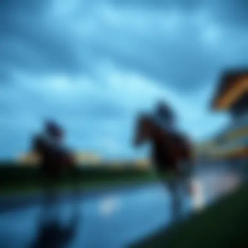 Weather forecast for a horse racing event